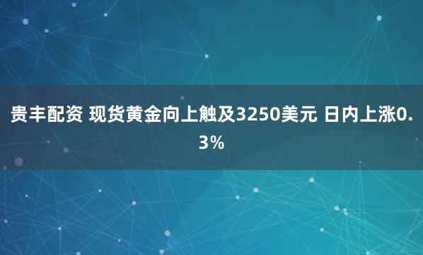 贵丰配资 现货黄金向上触及3250美元 日内上涨0.3%