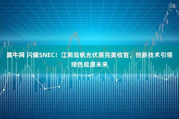 翼牛网 闪耀SNEC！江南奕帆光伏展完美收官，创新技术引领绿色能源未来