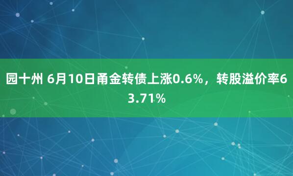 园十州 6月10日甬金转债上涨0.6%，转股溢价率63.71%