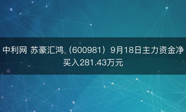 中利网 苏豪汇鸿（600981）9月18日主力资金净买入281.43万元